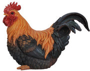 87780 - ROOSTER SQUATTING